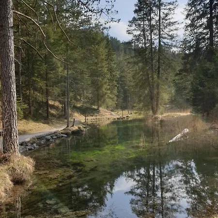 Appartement Nora Ehrwald