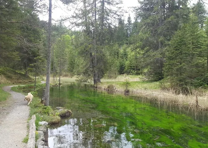 Nora 埃尔瓦尔德